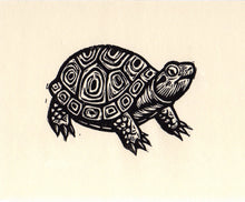Load image into Gallery viewer, Note Cards - Turtle Note Cards - Linocut Art - Greeting Card - Blank Note Cards - Animal Note Cards - Cards - Greeting Cards - Card Sets